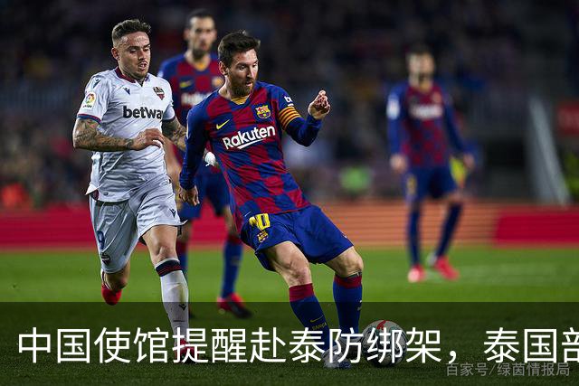 中国使馆提醒赴泰防绑架，泰国部长质疑，怎么其他国家游客没遇到